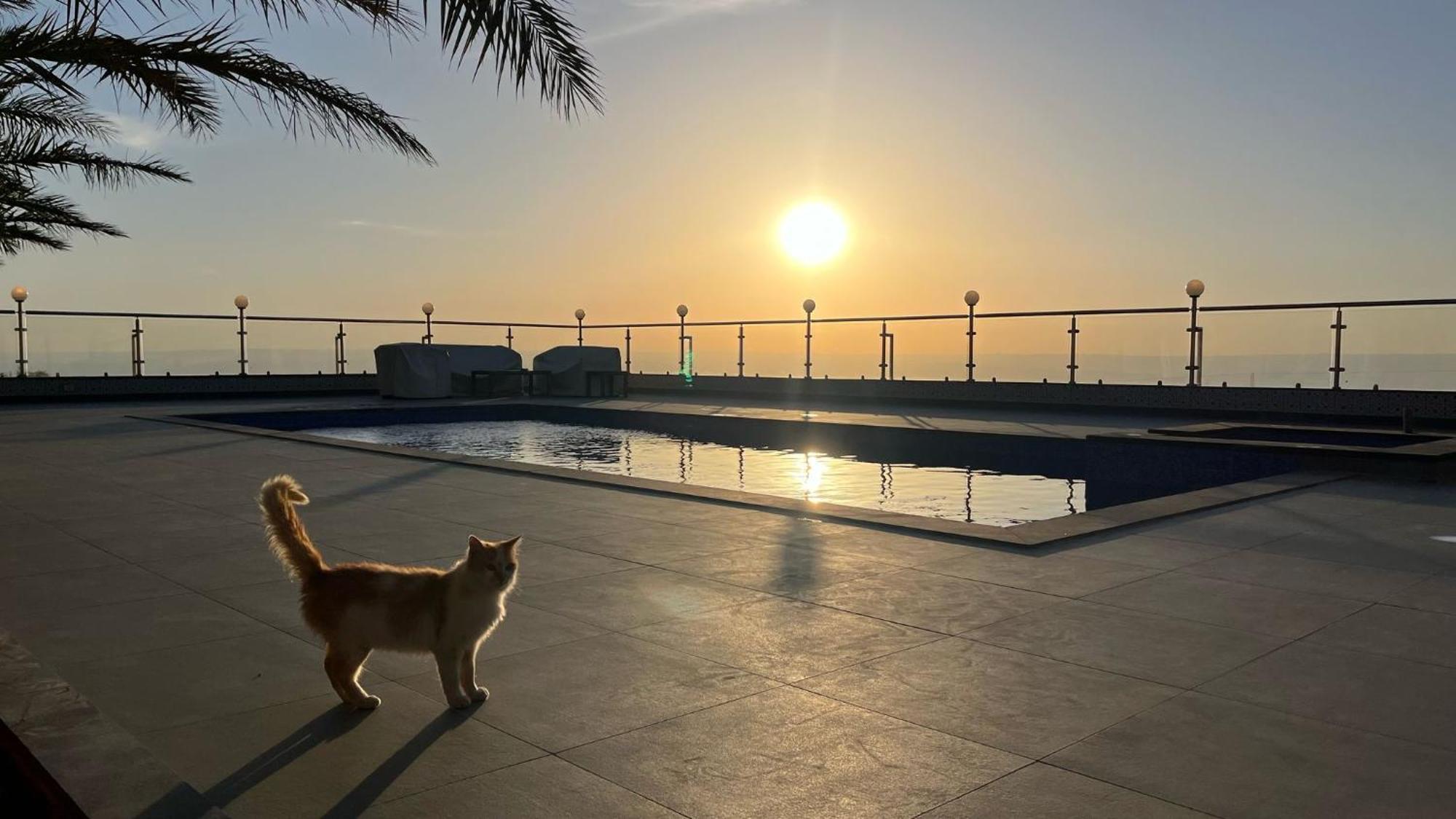 מאדאבה Golden Rays Chalet מראה חיצוני תמונה
