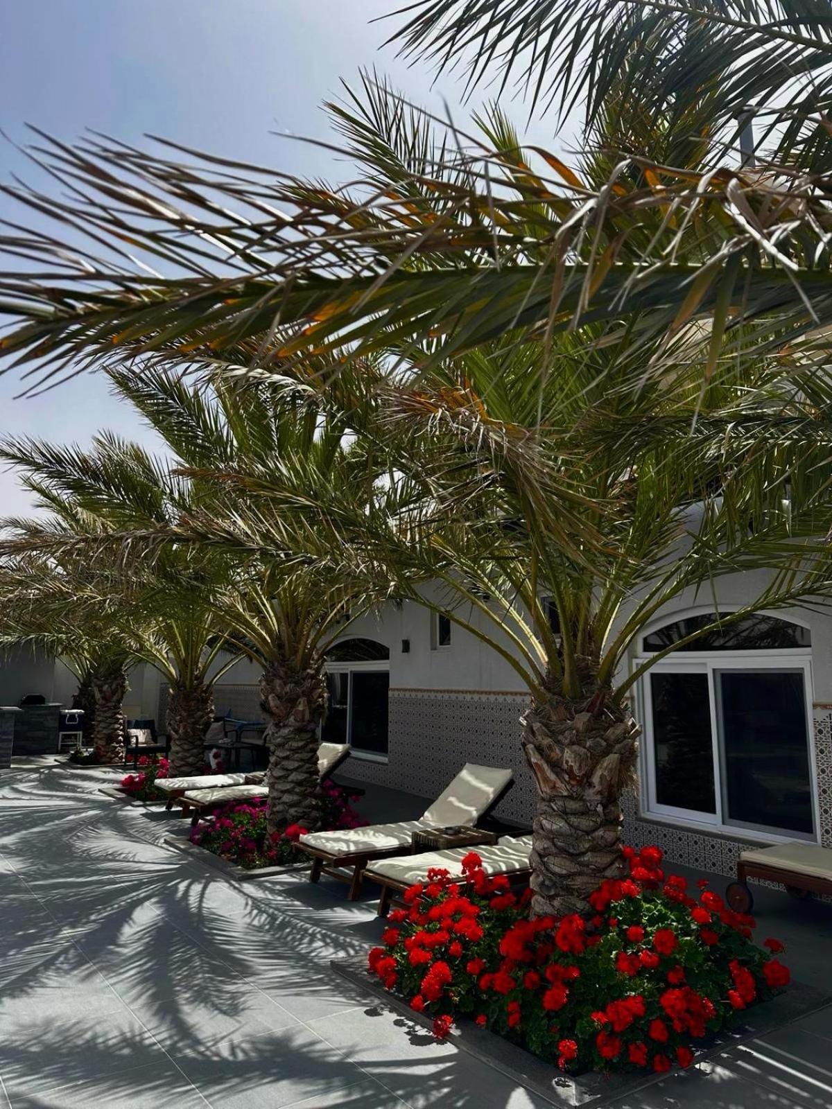 מאדאבה Golden Rays Chalet מראה חיצוני תמונה